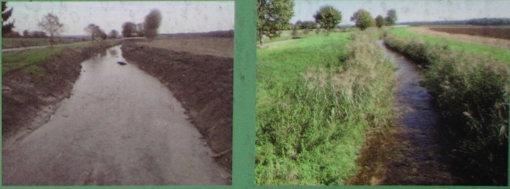 Exemple d'aménagement de la Vouge à Villebichot. A gauche en 2004, à droite  en 2010. Cliquer sur l'image pour l'agrandir